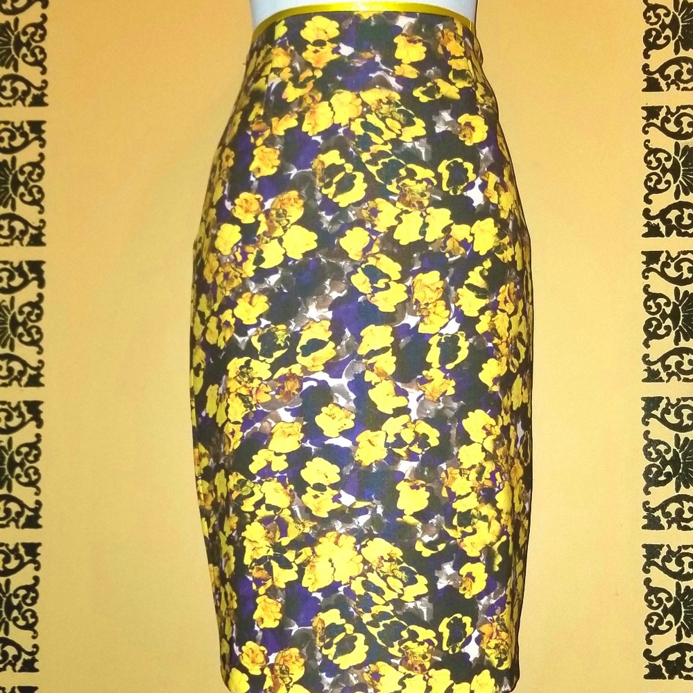 "Crunch Berries" Women's Skirt